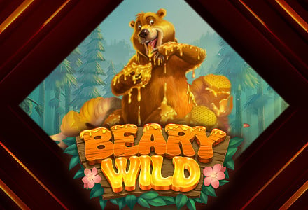 Beary Wild, la nouvelle machine à sous du Golden Euro Casino